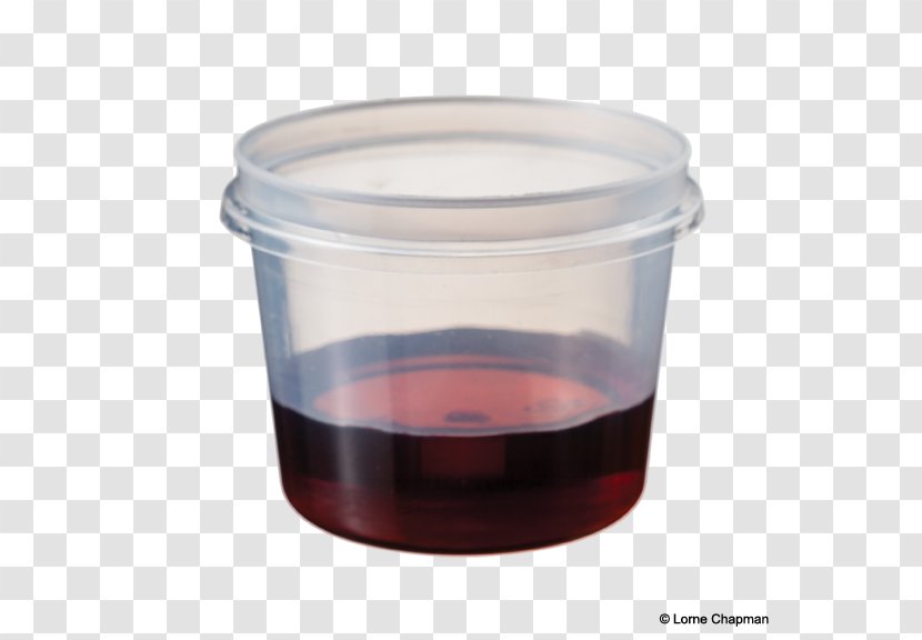 Food Storage Containers Lid Glass Plastic - Science And Education Transparent PNG