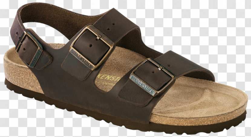 Birkenstock Sandal Leather Shoe Strap - Walking Transparent PNG