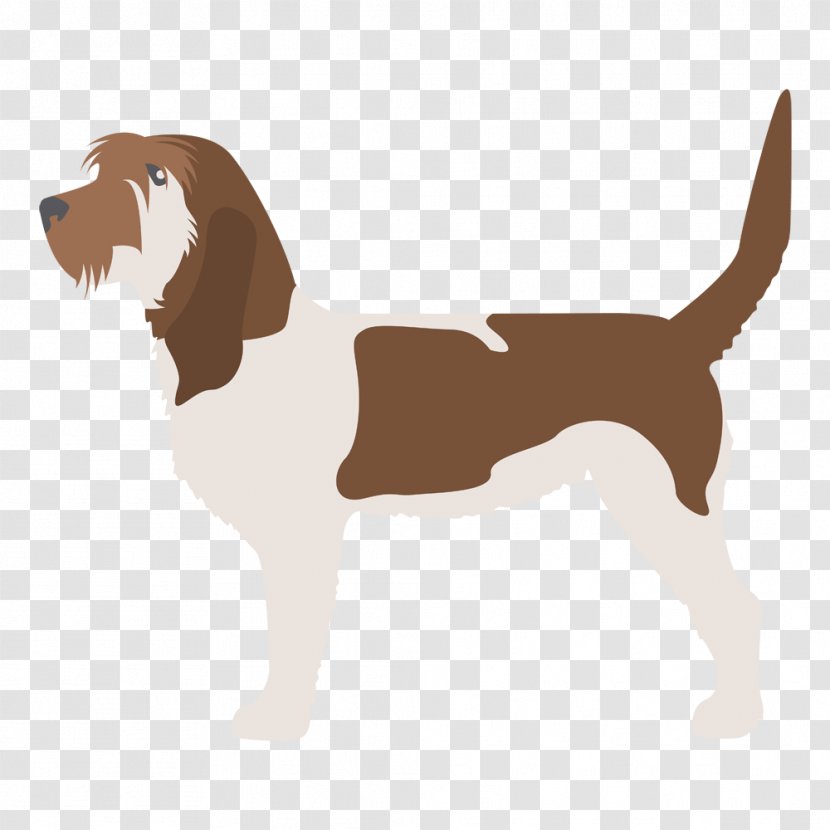 Kerry Blue Terrier Samoyed Dog Border Basset Hound - Breed - Springer Spaniel Transparent PNG