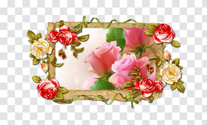Picture Frames Photography Clip Art - Rose Family - Floristry Transparent PNG