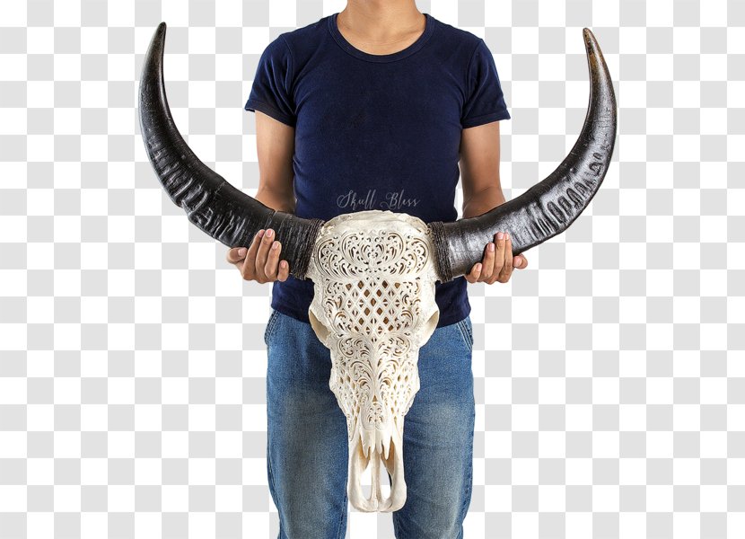 Horn Cattle Skull Flower - Buffalo Transparent PNG