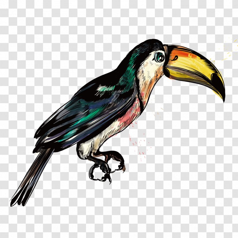 Big Bird Hummingbird Parrot - Watercolor - Vector Transparent PNG