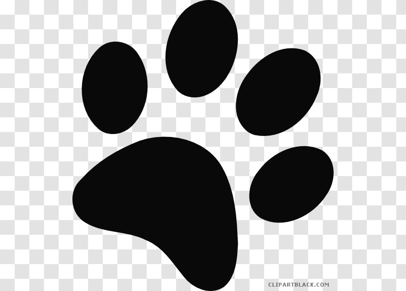 Cat Bear Dog Paw Tiger - Bobcat Transparent PNG