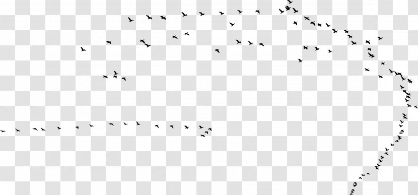 Hummingbird Swallow Flight Flock - Sky Transparent PNG