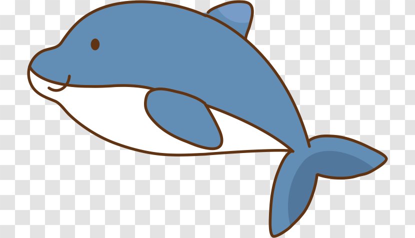 Common Bottlenose Dolphin Whale - Blue Transparent PNG