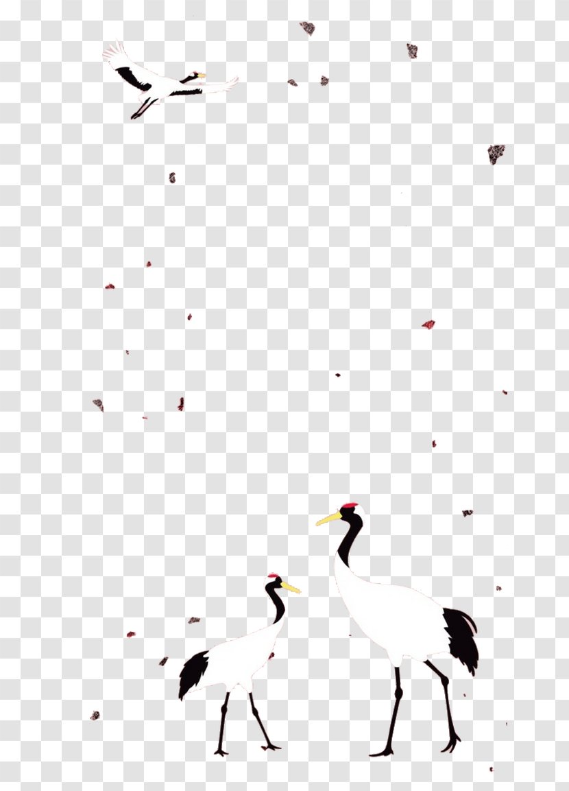 Goose Flightless Bird Cartoon Illustration - Black And White - Crane Transparent PNG