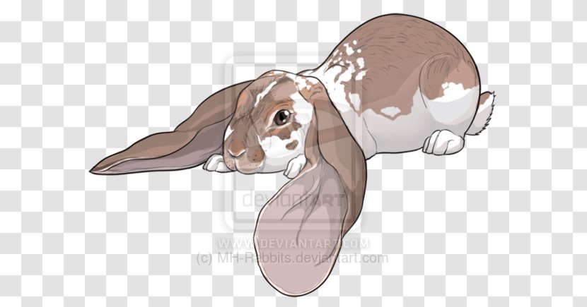 Hare Reptile Ear Illustration Mammal - Tree - Chestnut Netherland Dwarf Transparent PNG