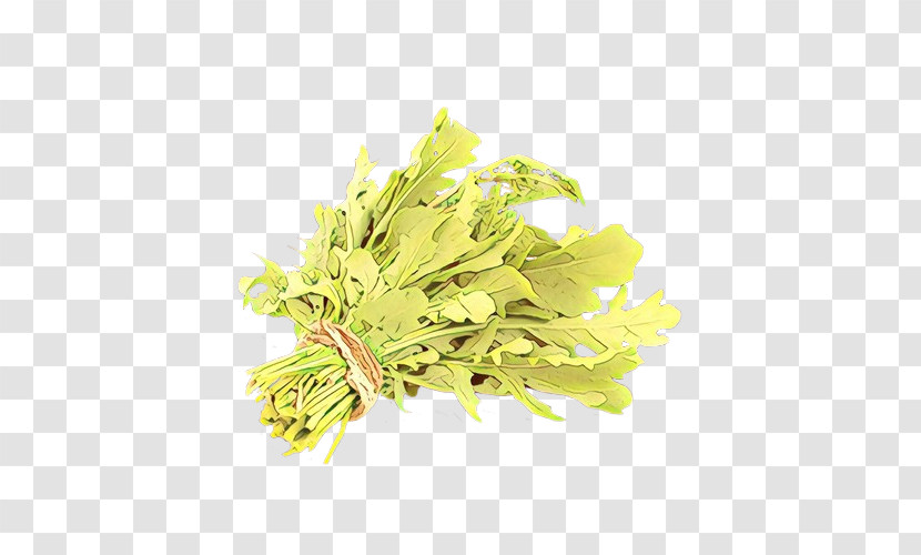 Yellow Plant Flower Leaf Herb Transparent PNG