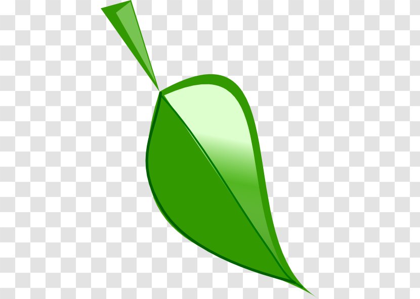 Leaf Drawing Clip Art - Vegetable Transparent PNG