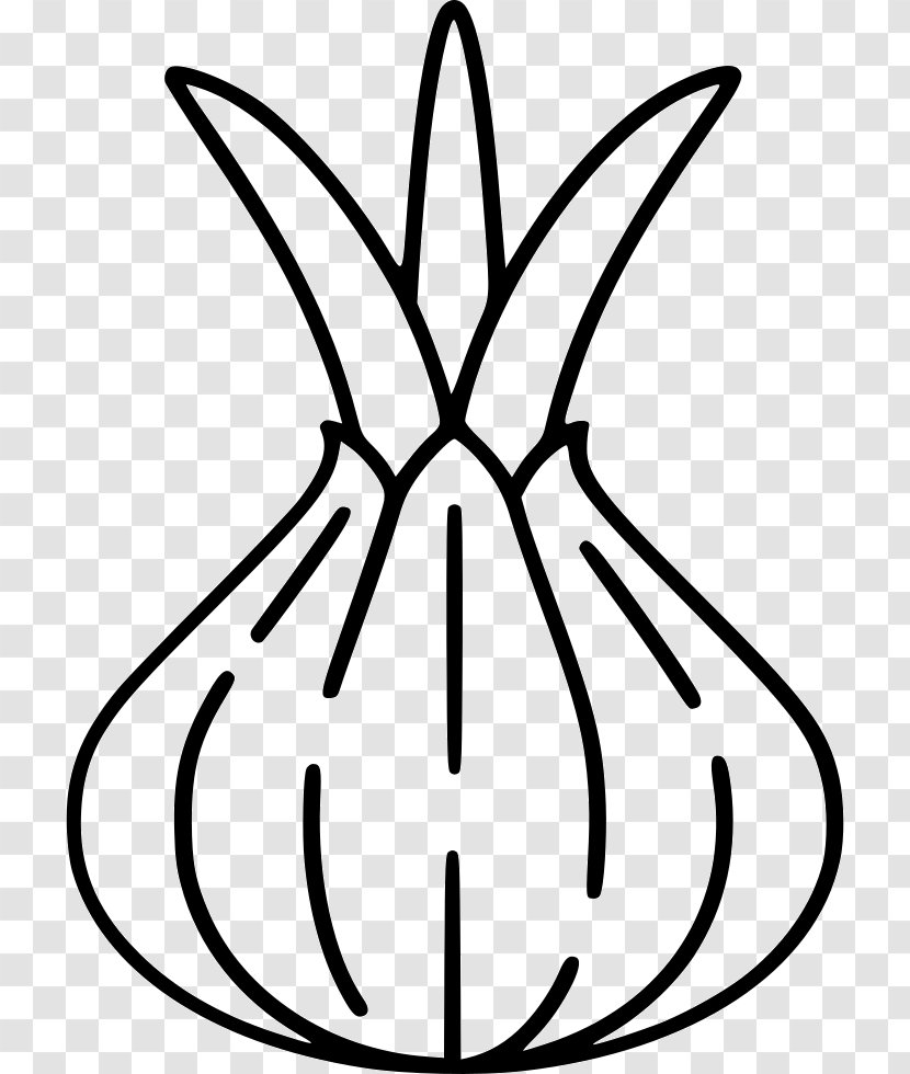 Onion Clip Art - Symmetry Transparent PNG