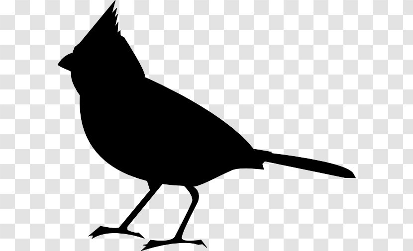 Bird Clip Art Vector Graphics Northern Cardinal European Robin - Silhouette - Blackandwhite Transparent PNG