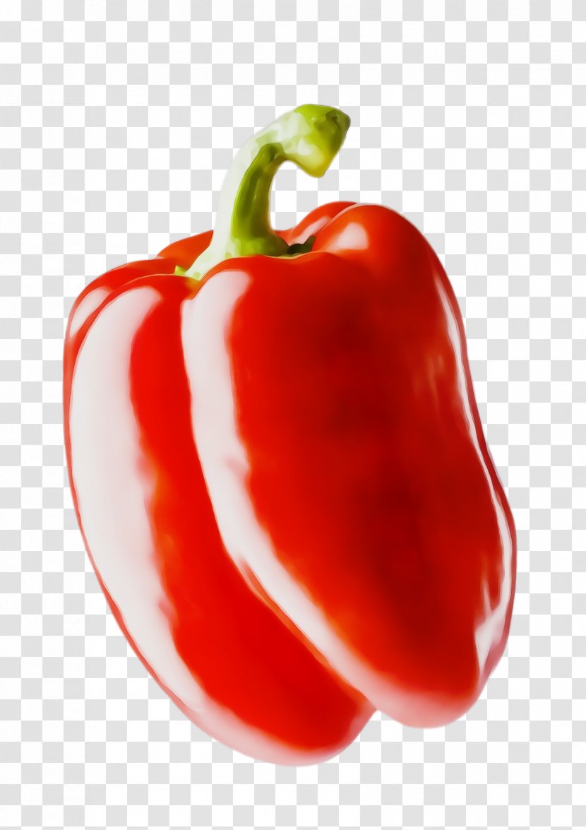 Pimiento Bell Pepper Red Peppers And Chili Vegetable - Wet Ink - Capsicum Food Transparent PNG