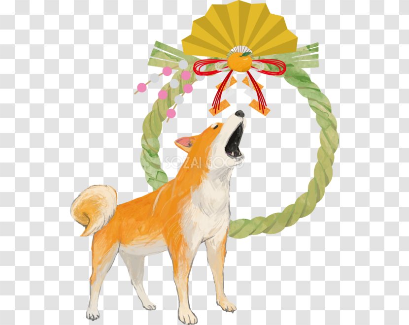 Dog Breed Shiba Inu Illustration Japanese New Year - Drawing - Newyear Transparent PNG