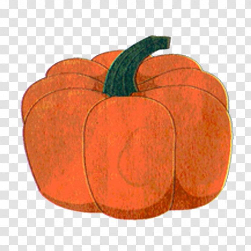 Pumpkin Winter Squash Calabaza Cucurbita Transparent PNG