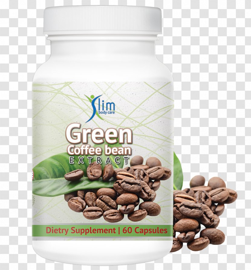 Green Coffee Extract Flavor Tea - Caffeine Transparent PNG