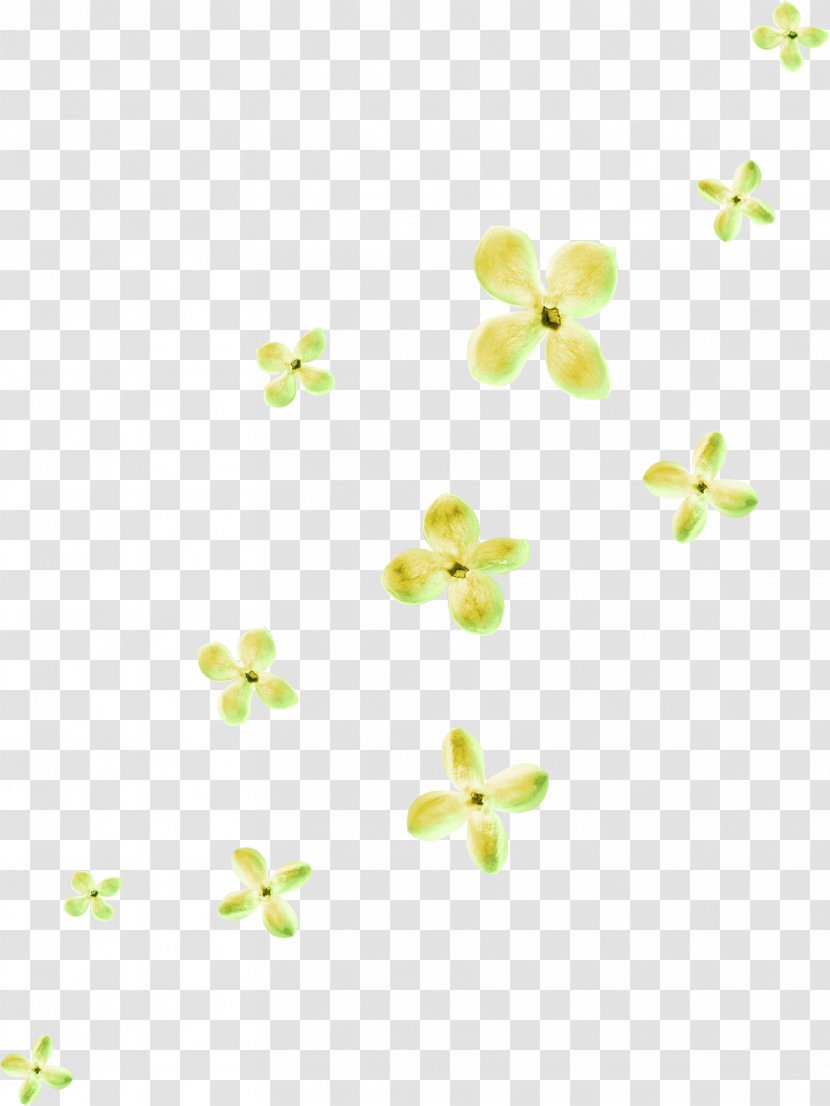 Green Flower - Floating Flowers Transparent PNG