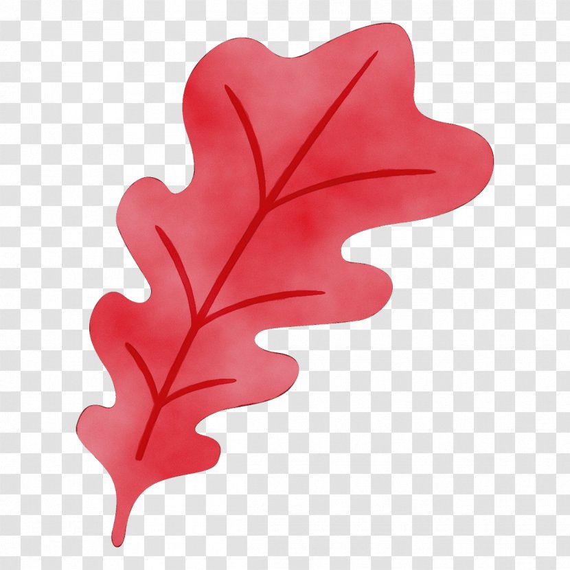 Leaf Red Pink Heart Plant - Flower Petal Transparent PNG
