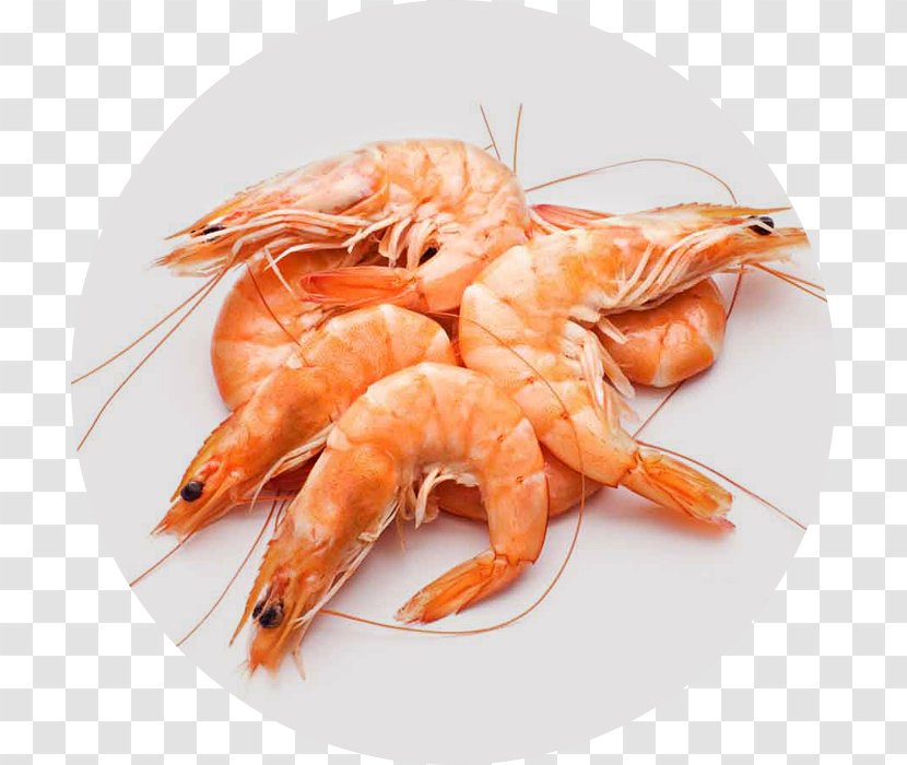 Shellfish Prawn Seafood - Caridean Shrimp - Fish Transparent PNG