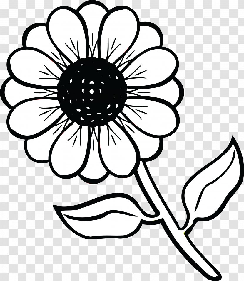 Coloring Book Drawing Wildflower Child Clip Art - Line Transparent PNG