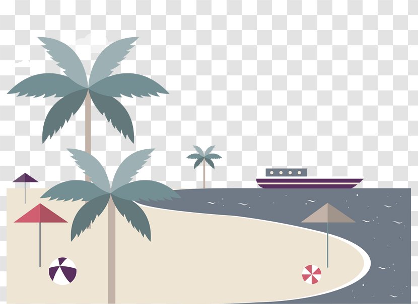 Vector Graphics Illustration Beach Design Image - Coconut - Hoa Hai Transparent PNG