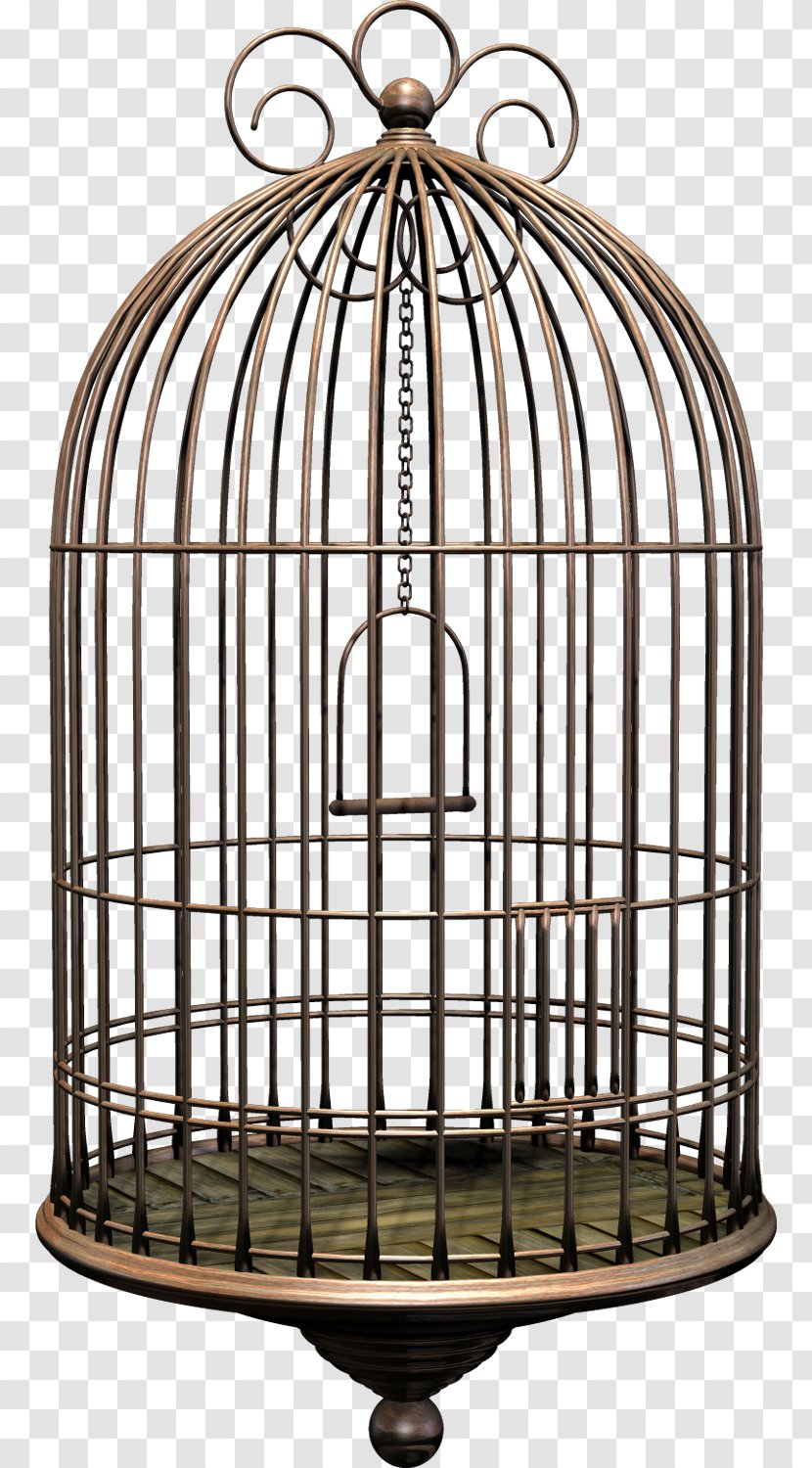 Birdcage Cockatiel - Bird Cage Transparent PNG
