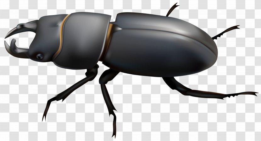 Dung Beetle Stag Clip Art - Rhino Transparent PNG