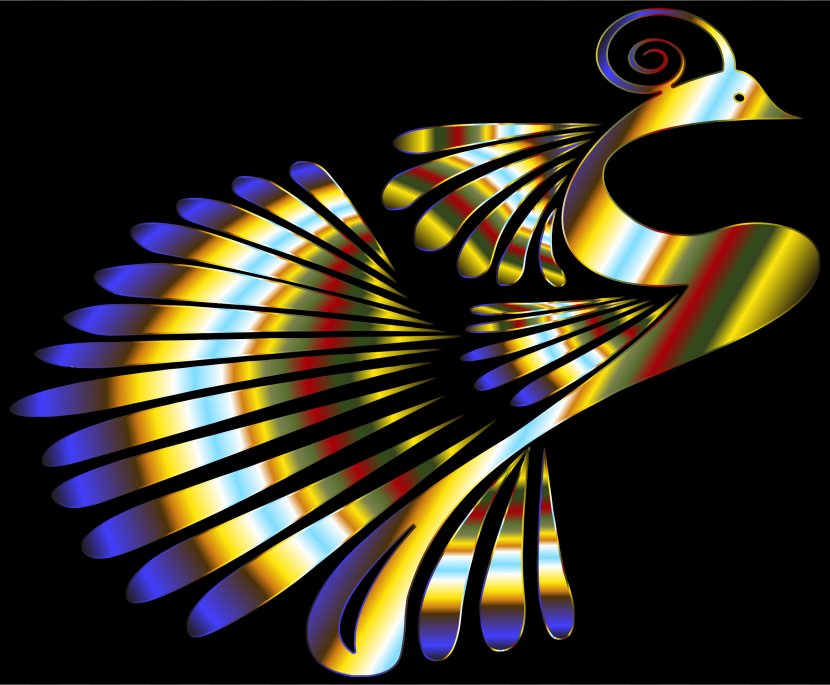 Peafowl Color Public Domain Clip Art - Line - Peacock Transparent PNG