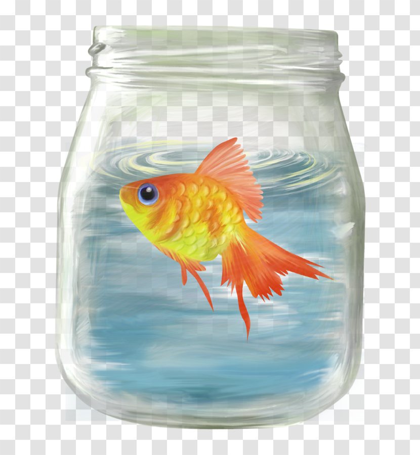 Goldfish Clip Art - Bony Fish Transparent PNG