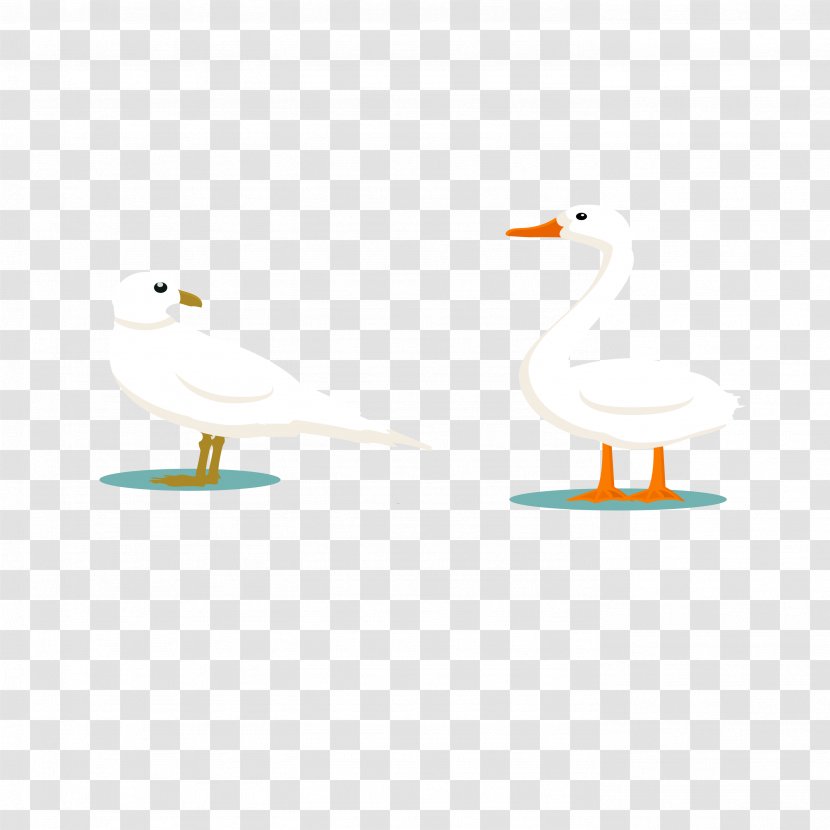 Duck Area Cartoon Beak Pattern - Vector Goose Transparent PNG