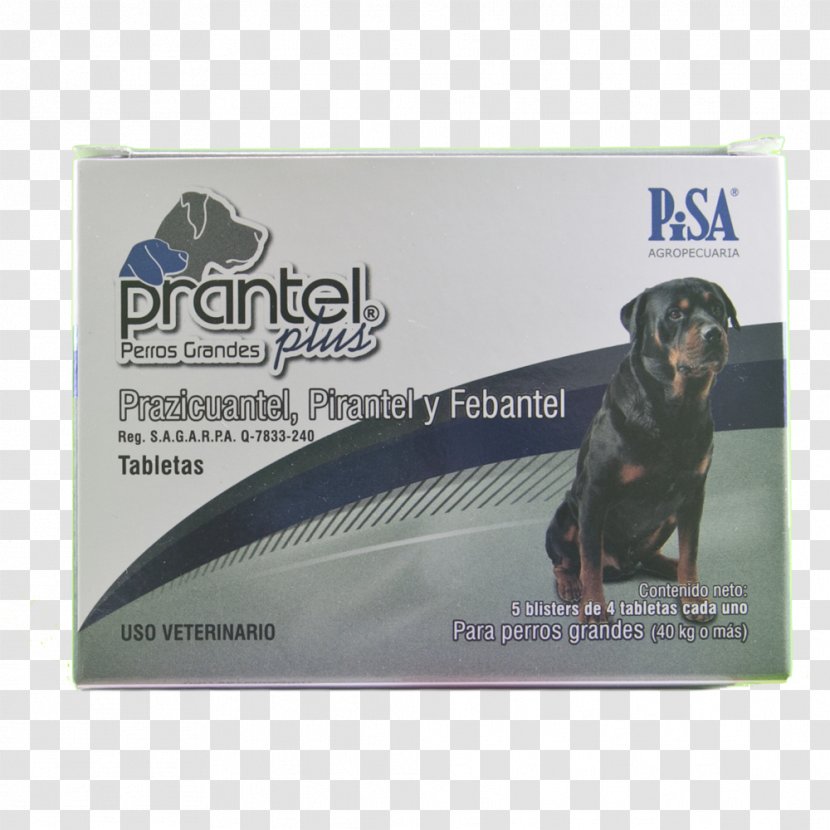 Dog Deworming Cat Puppy Praziquantel Transparent PNG