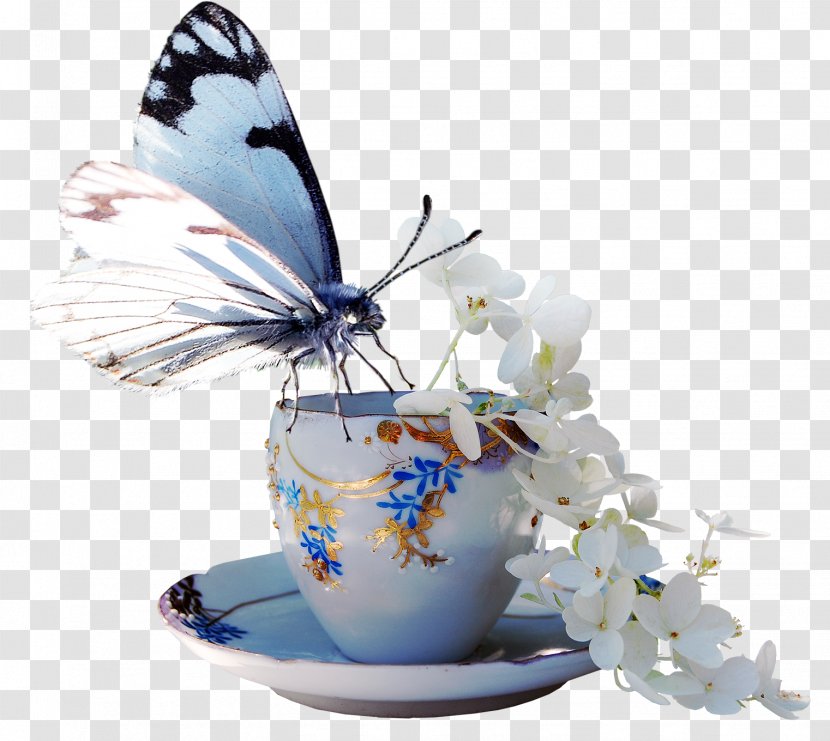 Butterfly Image Borboleta Tasse à Café Transparent PNG