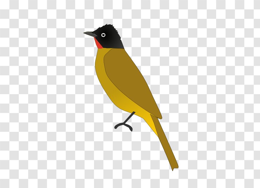 Eurasian Golden Oriole Common Nightingale Indian Beak - Redwhiskered Bulbul Transparent PNG