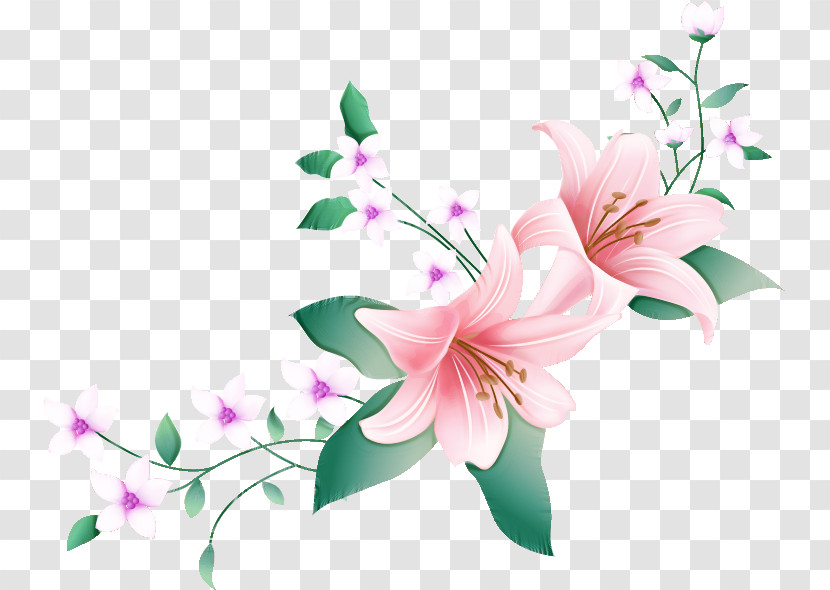 Lily Flower Transparent PNG