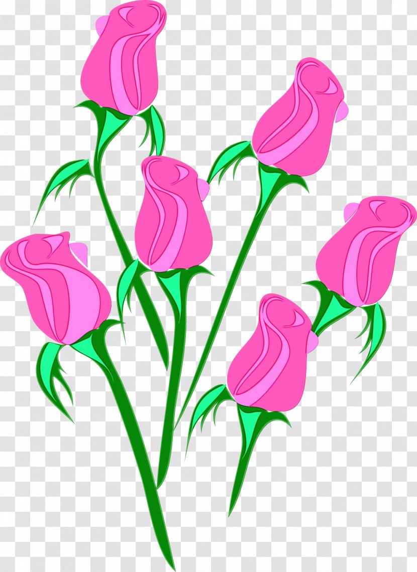 Pink Flower Clip Art Cut Flowers Pedicel - Plant Stem Petal Transparent PNG