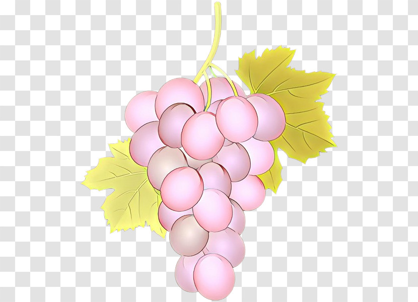 Grape Grapevine Family Pink Vitis Seedless Fruit Transparent PNG