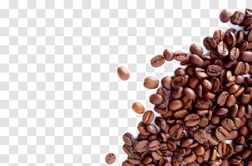 The Coffee Bean & Tea Leaf Espresso Cafe Dolce Gusto - Seed - Beans Transparent PNG