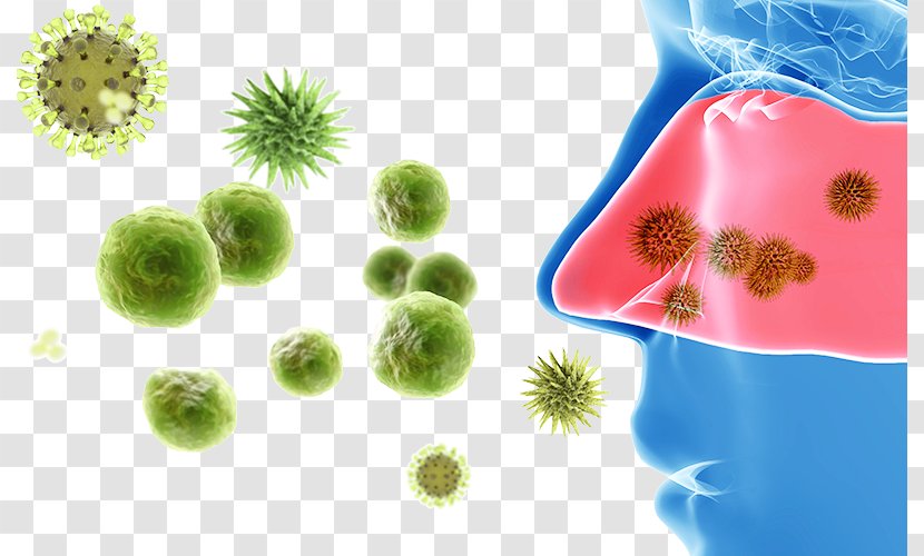 Skin Allergy Test Hay Fever Allergen Symptom - Nose And Virus Cells Transparent PNG