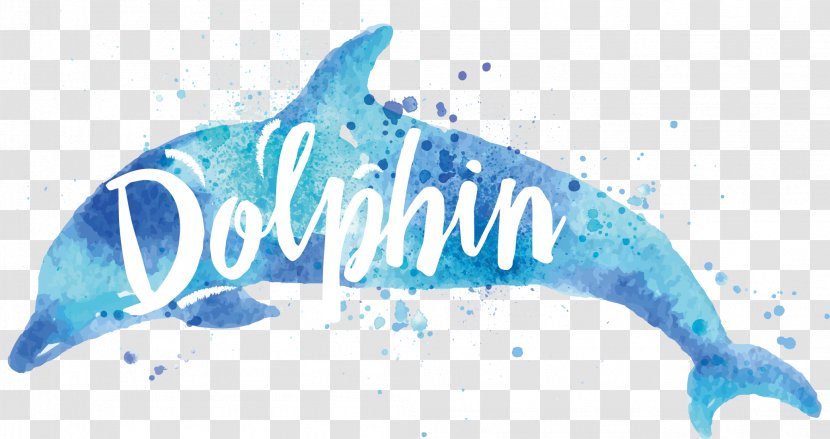 Dolphin Drawing Watercolor Painting - Transparency And Translucency - Vector Transparent PNG