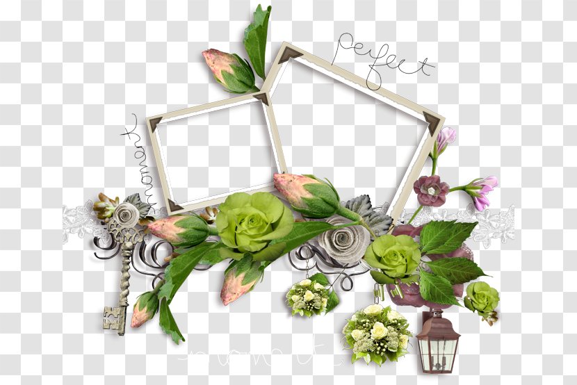 Picture Frames Floral Design Flower - Bouquet - Flora Transparent PNG