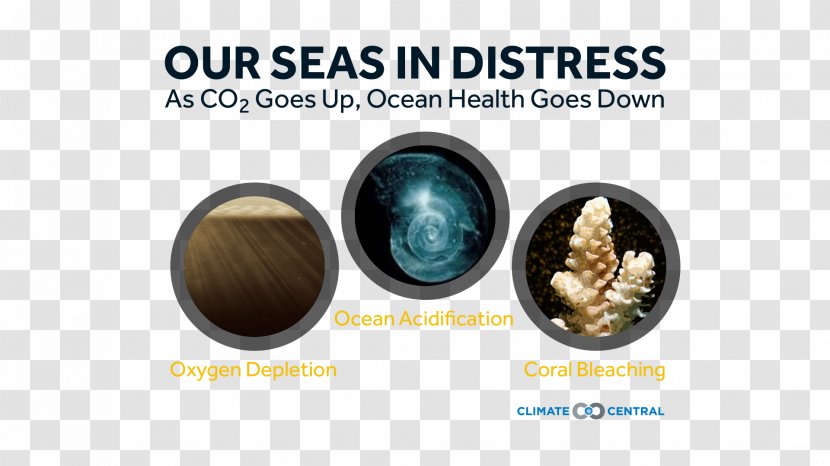 World Oceans Day Brand 8 June - Health - Design Transparent PNG