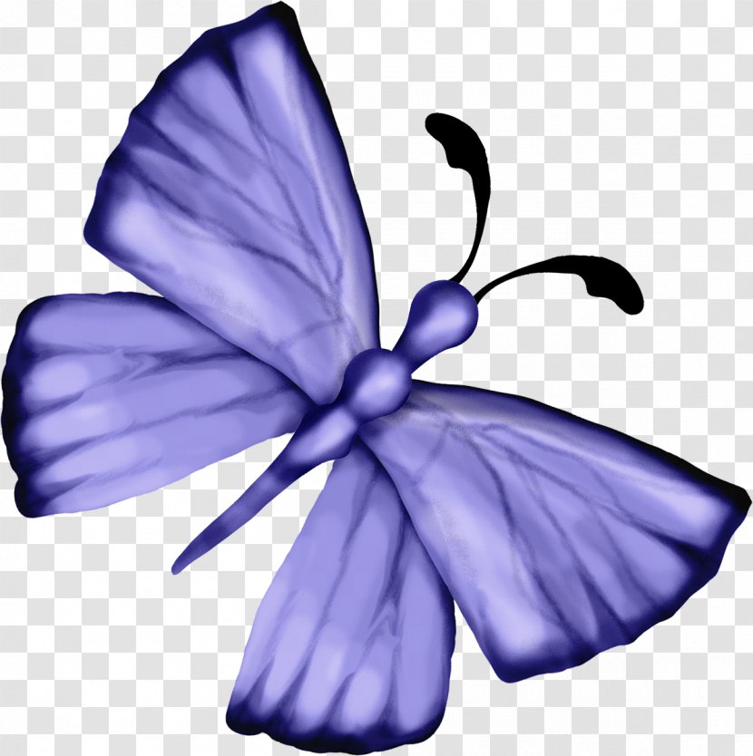 Violet Flowering Plant Petal Herbaceous - Purple Butterfly Fairy Transparent PNG