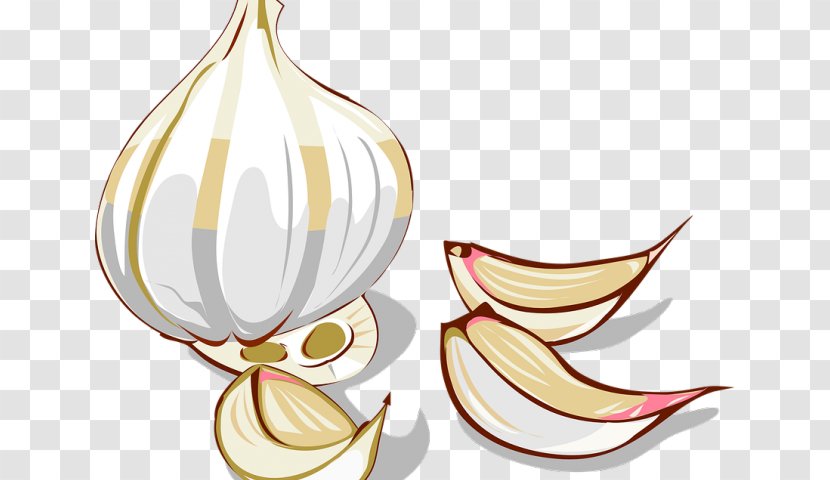 Garlic Bread Clip Art Spice Vector Graphics - Vegetable - Storing Bulbs Transparent PNG