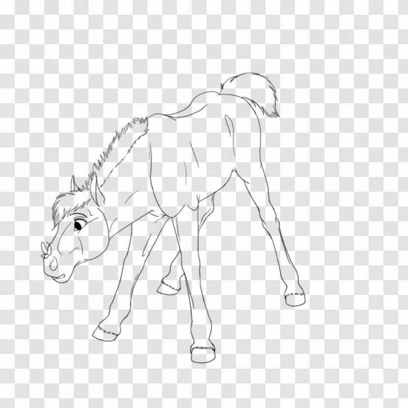 Mule Mustang Halter Drawing Sketch - Butterfly Line Art Transparent PNG