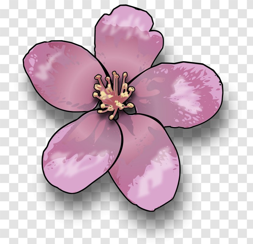 Cherry Blossom Peach Clip Art - Magenta - Gorilla Transparent PNG