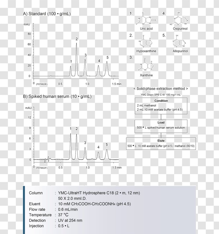 Document Line Angle - Text Transparent PNG