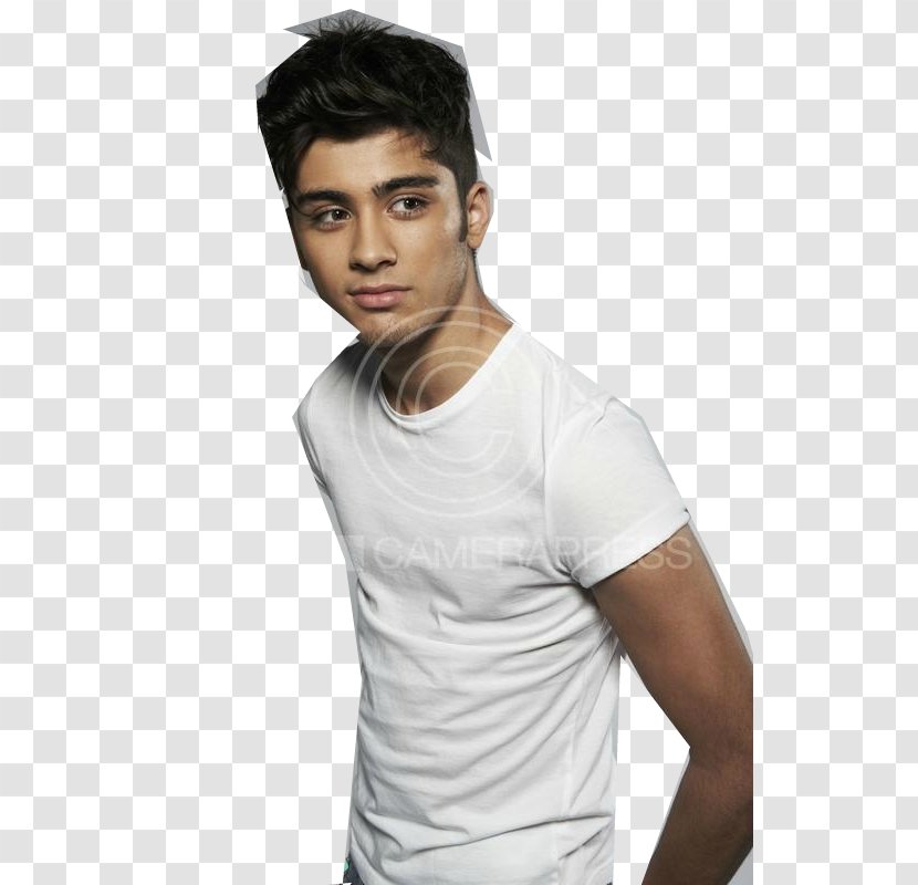 Zayn Malik Hairstyle PILLOWTALK Arm - Flower Transparent PNG