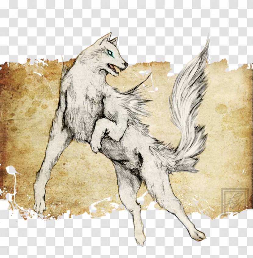 Coyote Gray Wolf Drawing Illustration Image - Fictional Character - Spirit Transparent PNG
