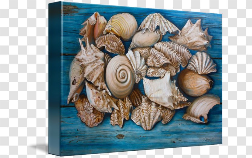 Seashell Artist Painting Conchology Transparent PNG