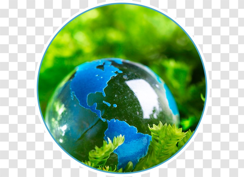 Sustainability Environmental Protection Natural Environment Sustainable Development Science - Organism - Ecologicaldamage Transparent PNG
