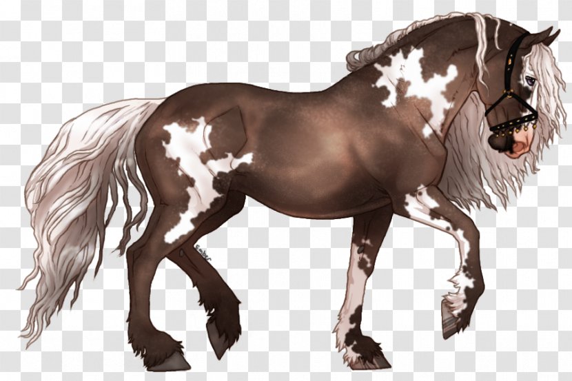 Mane Mustang Stallion Pony Mare - Snout Transparent PNG